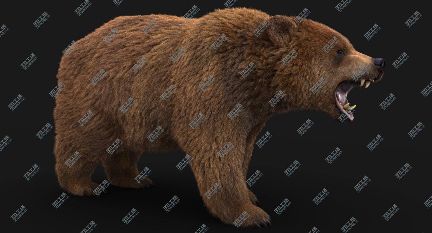 images/goods_img/20210114/3D model Bear (3) (FUR)/2.jpg